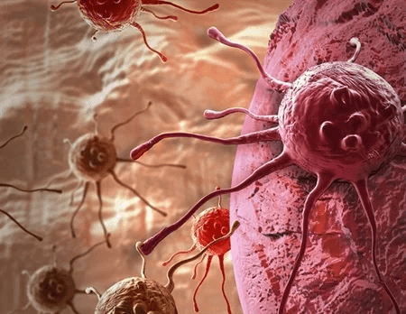 'Cell Line atlas' can help better understand biliary tract cancer biology
