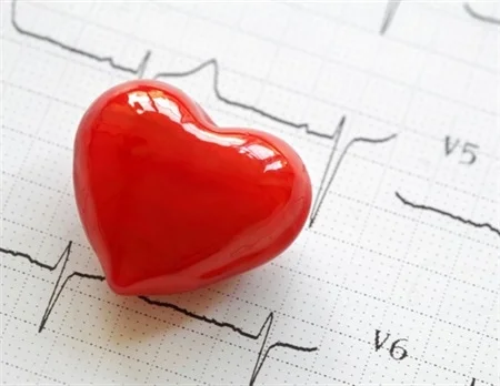 Heart